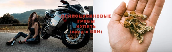 соль курить ск Дмитриев
