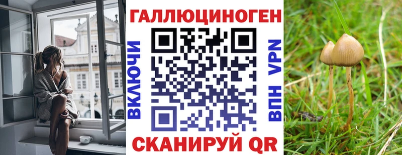 МЕГА Хвалынск Псилоцибиновые грибы прущие грибы купить наркотики цена